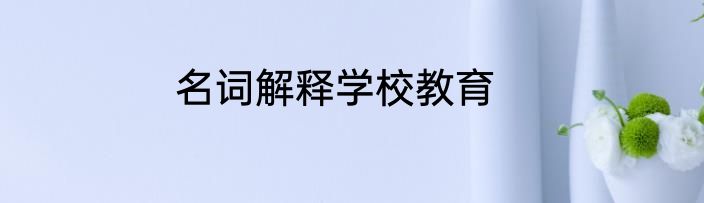 名词解释学校教育