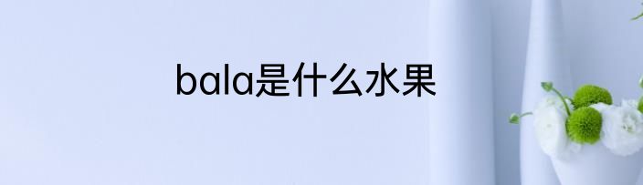 bala是什么水果