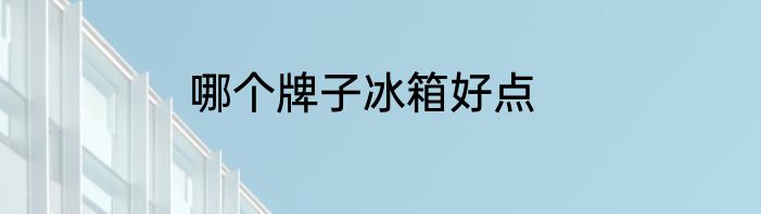 哪个牌子冰箱好点