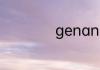 genanx是什么牌子