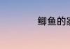 鲫鱼的家常做法简单