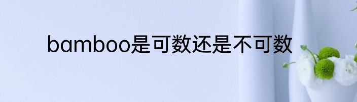 bamboo是可数还是不可数
