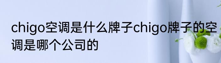 chigo空调是什么牌子chigo牌子的空调是哪个公司的