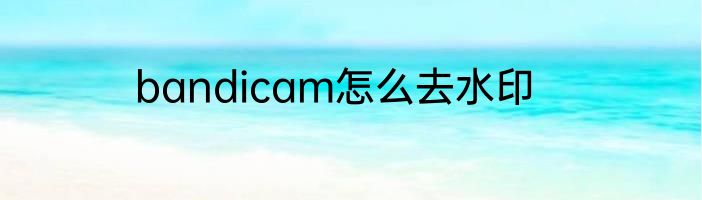 bandicam怎么去水印