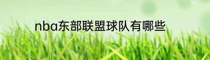 nba东部联盟球队有哪些