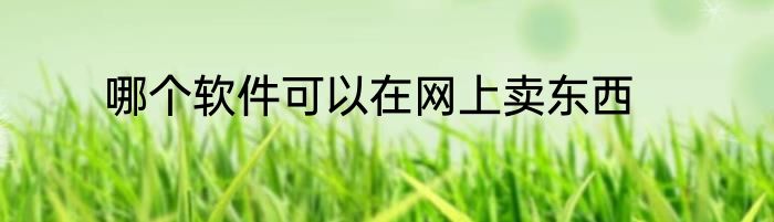 哪个软件可以在网上卖东西