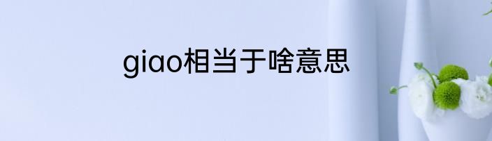 giao相当于啥意思
