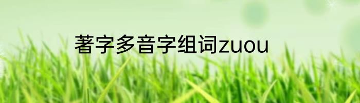 著字多音字组词zuou