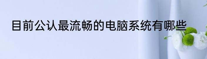 目前公认最流畅的电脑系统有哪些