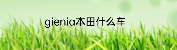 gienia本田什么车