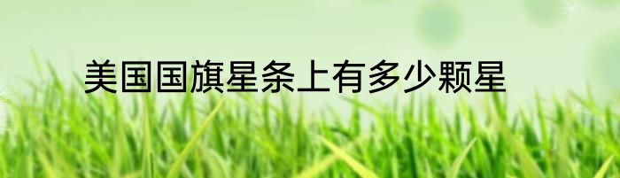 美国国旗星条上有多少颗星