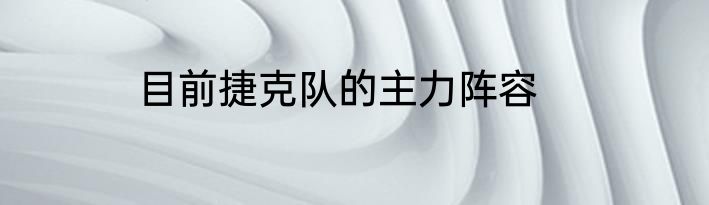 目前捷克队的主力阵容