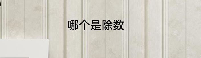 哪个是除数
