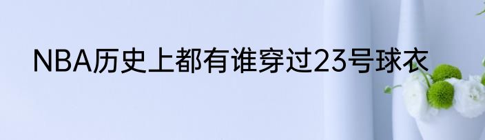 NBA历史上都有谁穿过23号球衣