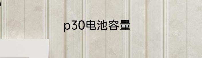 p30电池容量