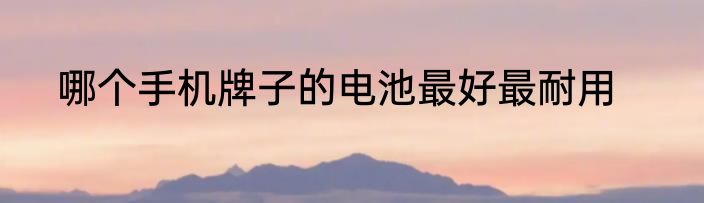 哪个手机牌子的电池最好最耐用