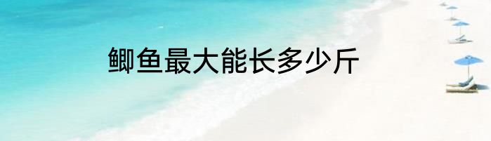 鲫鱼最大能长多少斤