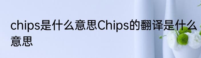 chips是什么意思Chips的翻译是什么意思