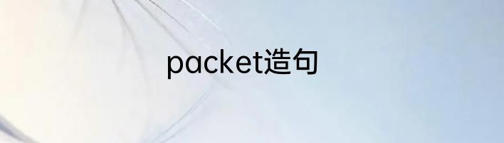 packet造句