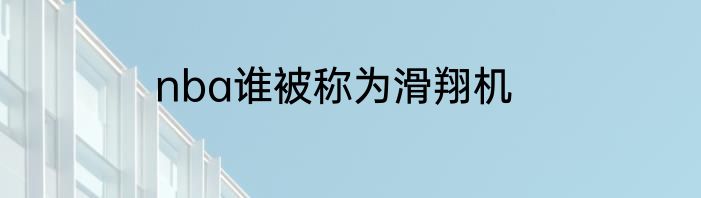 nba谁被称为滑翔机