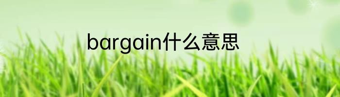 bargain什么意思