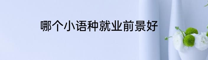 哪个小语种就业前景好