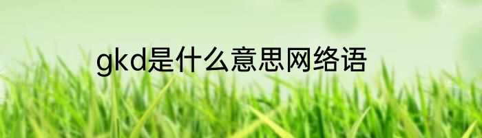 gkd是什么意思网络语
