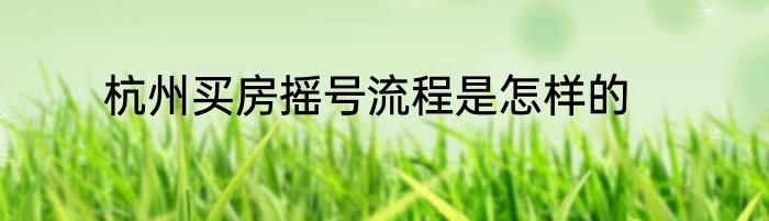 杭州买房摇号流程是怎样的