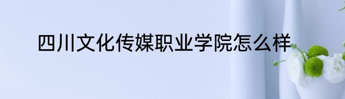 四川文化传媒职业学院怎么样