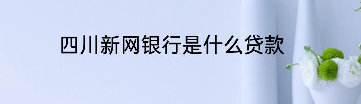 四川新网银行是什么贷款
