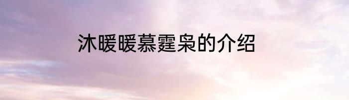 沐暖暖慕霆枭的介绍
