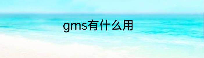 gms有什么用