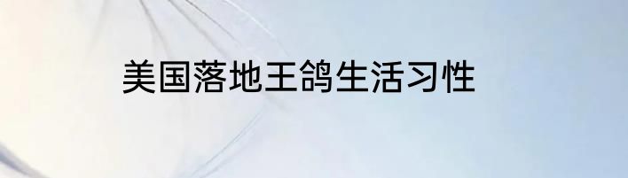 美国落地王鸽生活习性