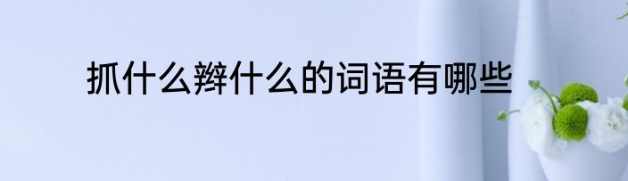 抓什么辫什么的词语有哪些