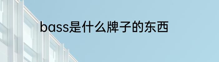 bass是什么牌子的东西