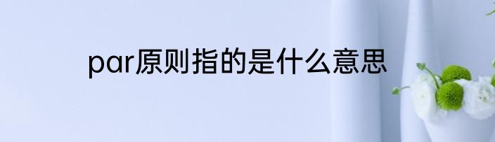 par原则指的是什么意思