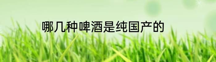 哪几种啤酒是纯国产的