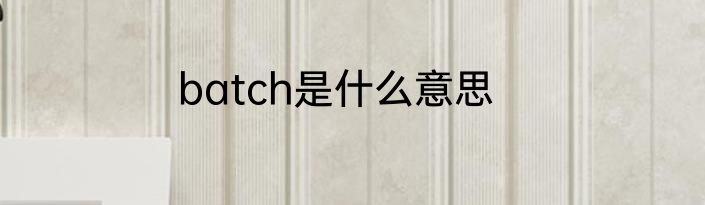 batch是什么意思