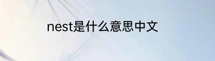 nest是什么意思中文