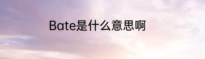 Bate是什么意思啊