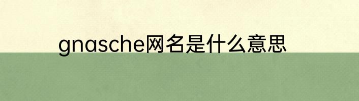 gnasche网名是什么意思