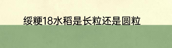 绥粳18水稻是长粒还是圆粒