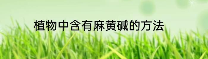 植物中含有麻黄碱的方法