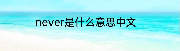 never是什么意思中文