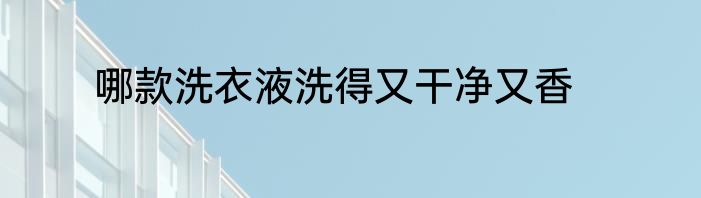 哪款洗衣液洗得又干净又香