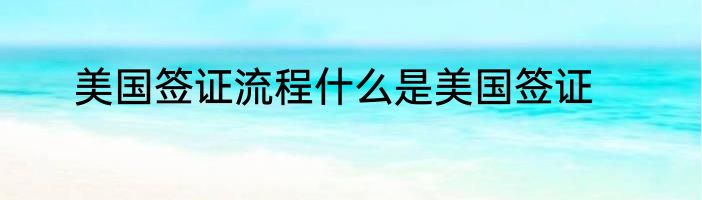 美国签证流程什么是美国签证