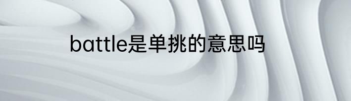 battle是单挑的意思吗