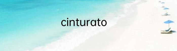 cinturato