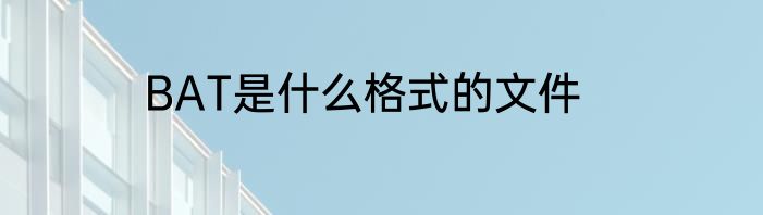 BAT是什么格式的文件
