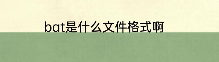 bat是什么文件格式啊